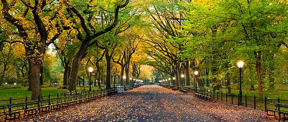 The Mall, Central Park in autumn